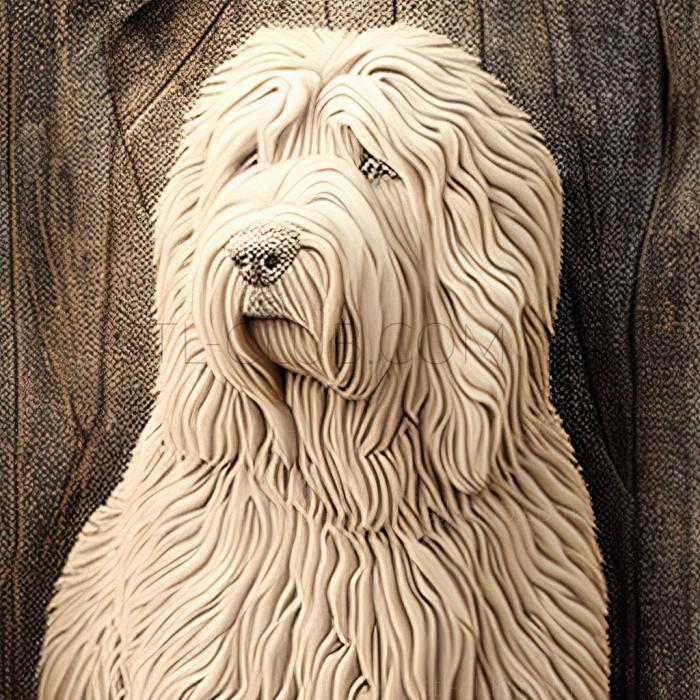 st Komondor dog